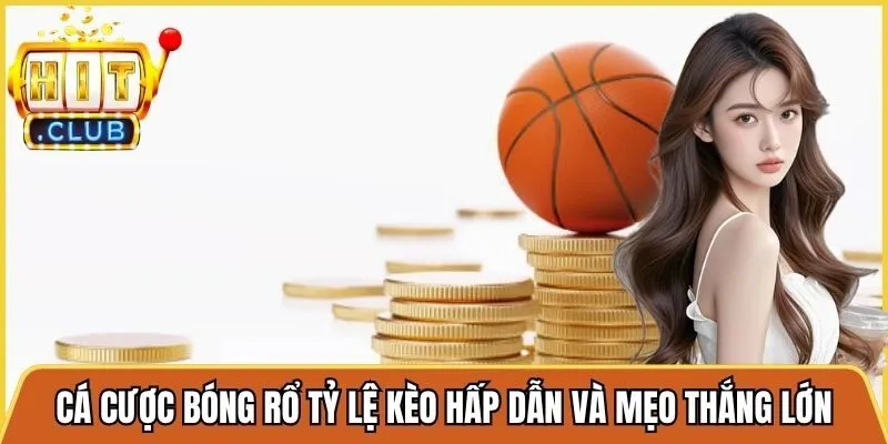 Cá Cược Bóng Rổ