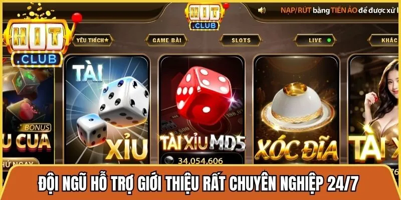 Đội ngũ hỗ trợ giới thiệu rất chuyên nghiệp 24/7 qua nhiều kênh online